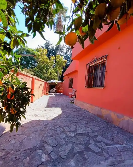 Houses for sale in Los Pinos