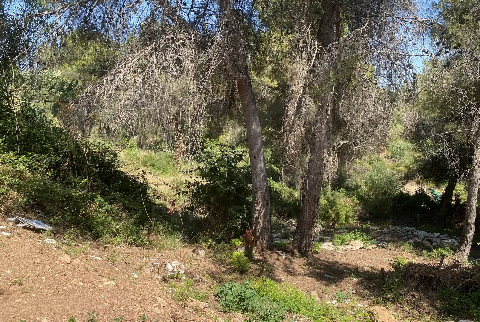Residential land for sale in Urbanitzacions de Llevant, imagen 13