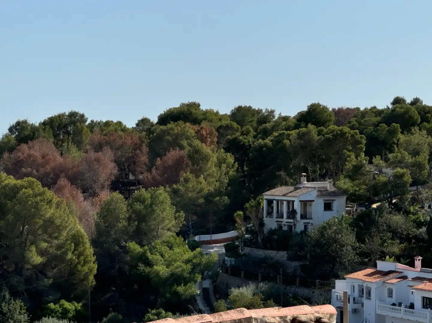 Wohnbaugrundstück zum Verkauf in Cala Advocat - Baladrar, imagen 13