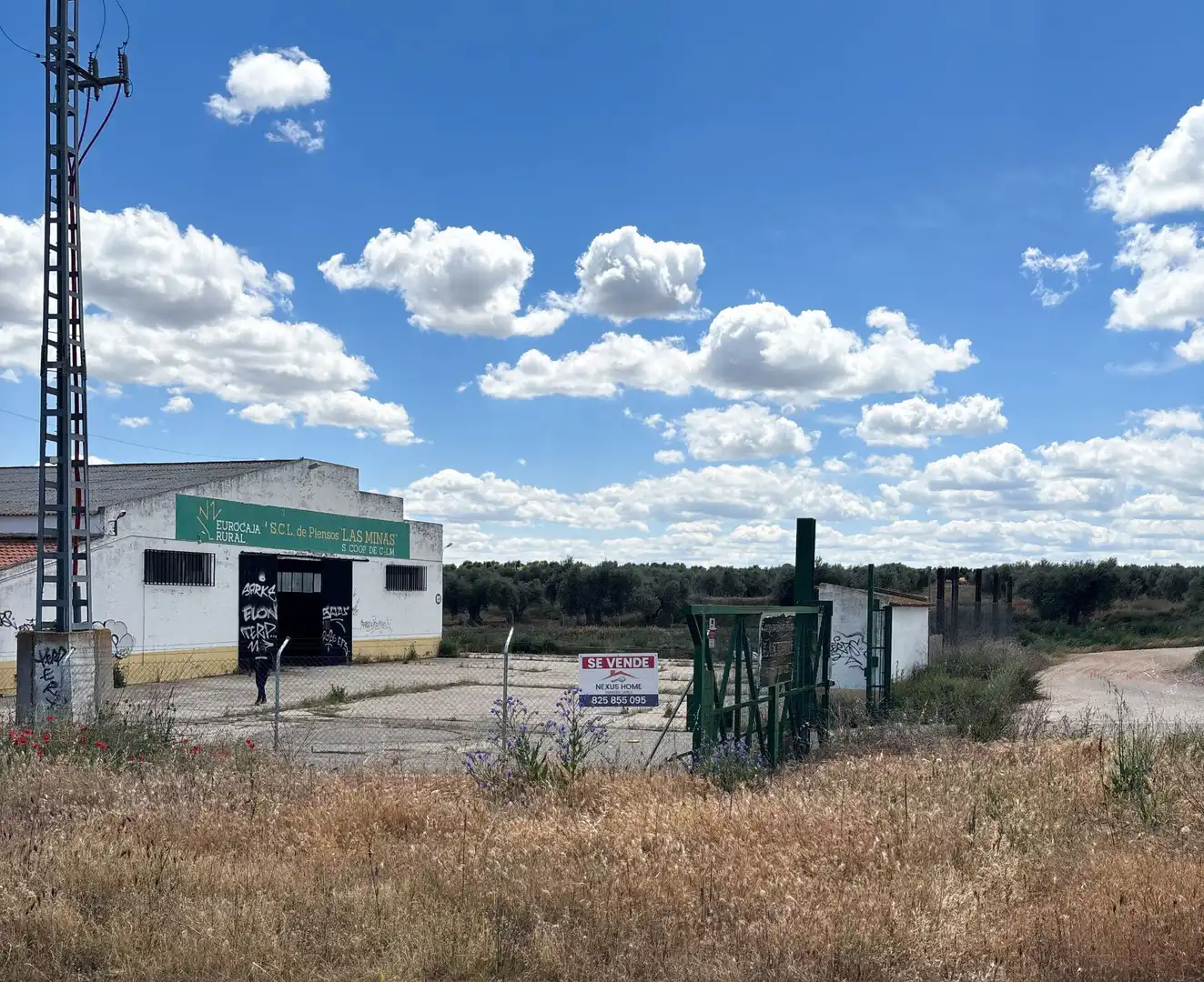 Terrenos y solares en venta en CAMINO VIEJO. GUADAMUR, imagen 11