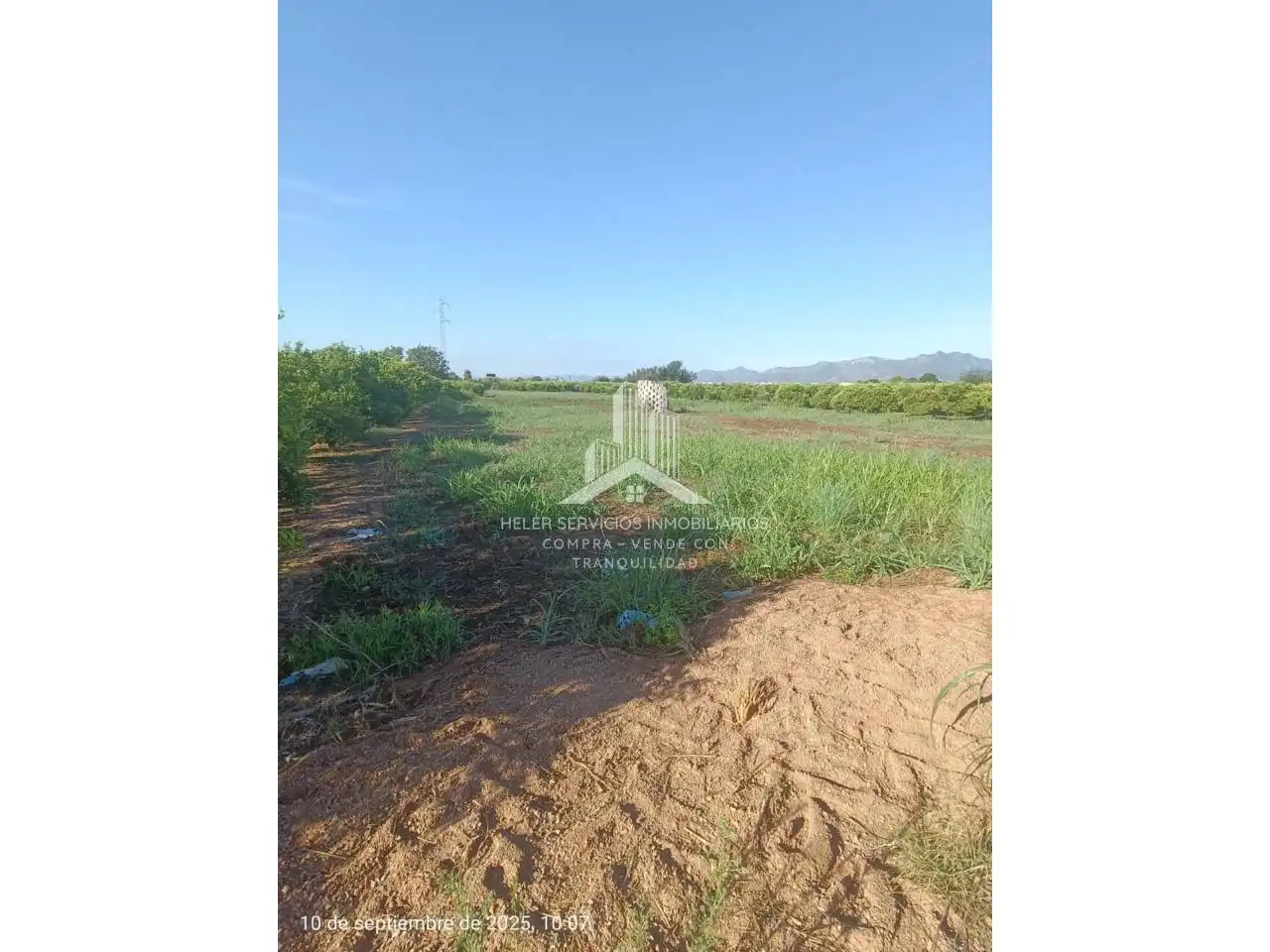Rural land for sale in Poligono 28, imagen 6