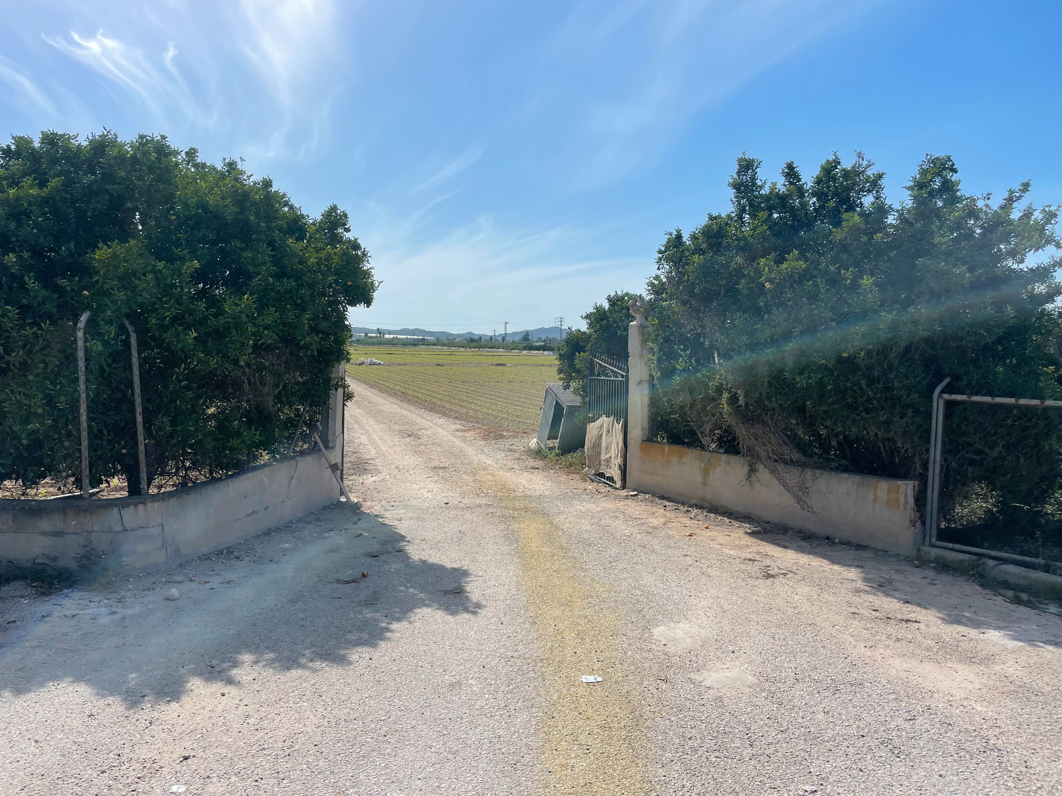 Land for sale in Orihuela