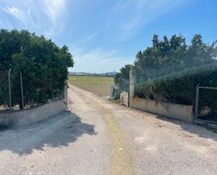 Land for sale in Orihuela
