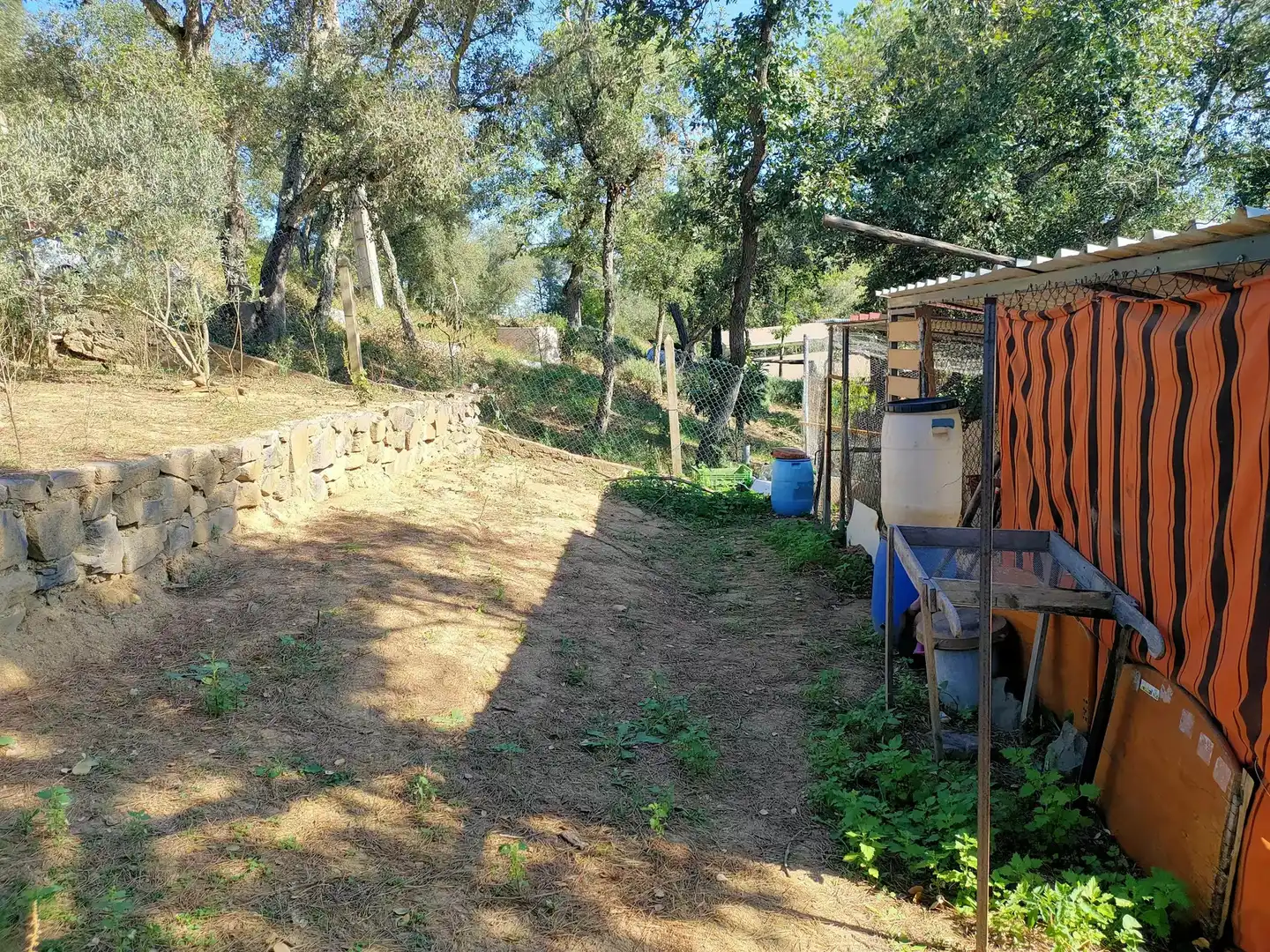 Jardí de Casa o xalet en venda en Massanes amb Piscina