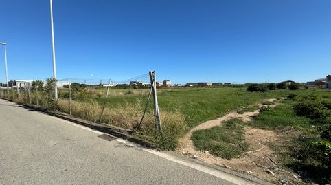 Terreno rustico dentro un Plan Parcial en  Malgrat de Mar., immagine 5