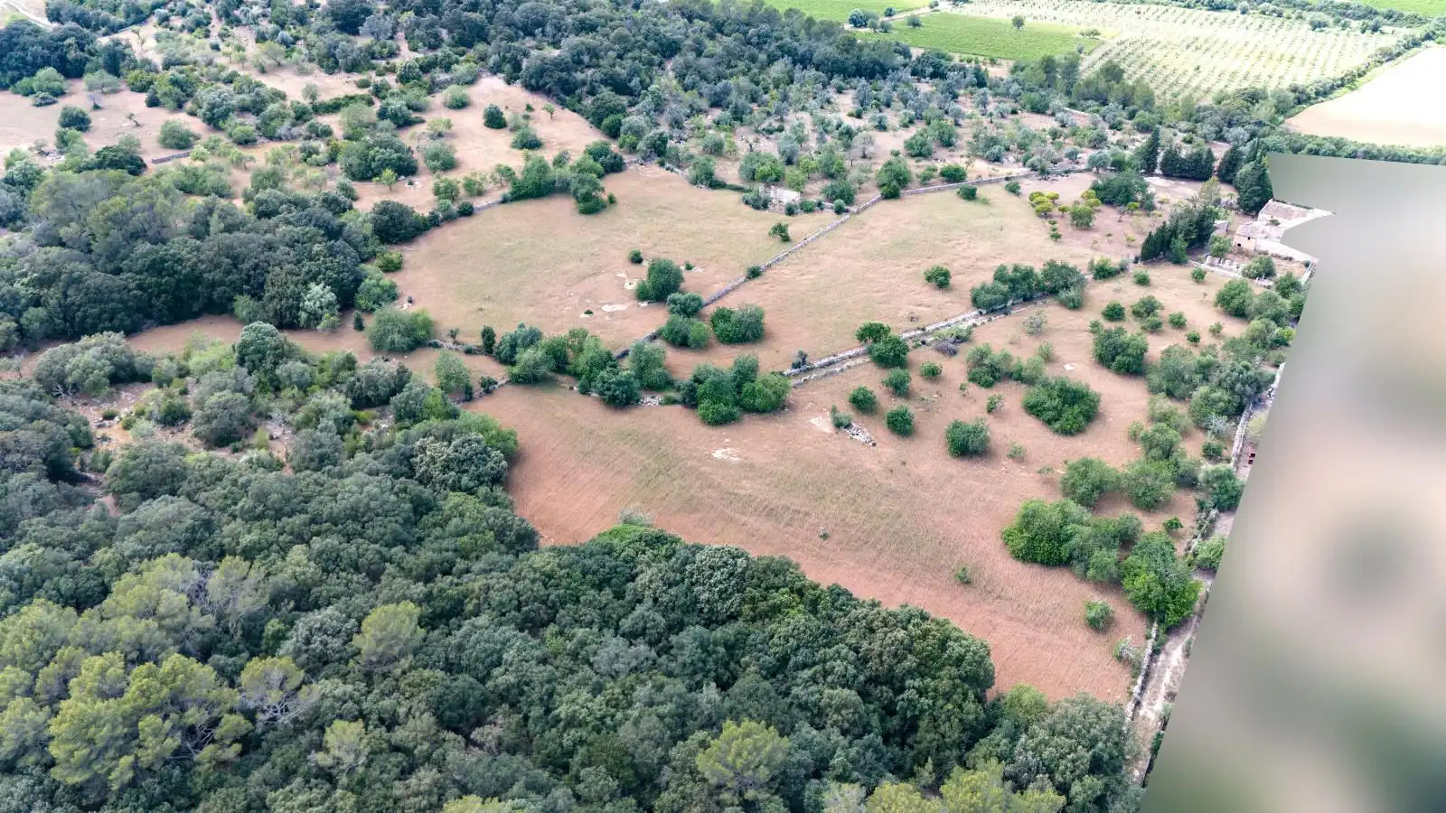 Casa rústica amb jardí en venda a Pollença Poble, imagen 39