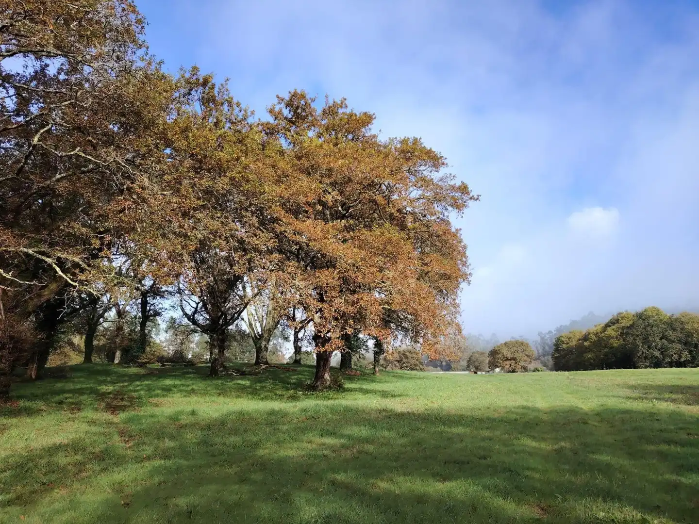 Country homes for sale in Negreira