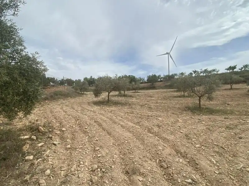 Casa rústica en venda a Padul, imagen 5