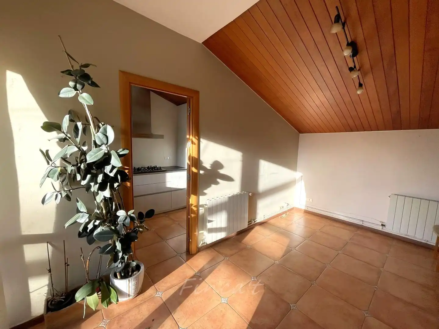 Casa o xalet en venda en Moià amb Calefacció i Jardí privat