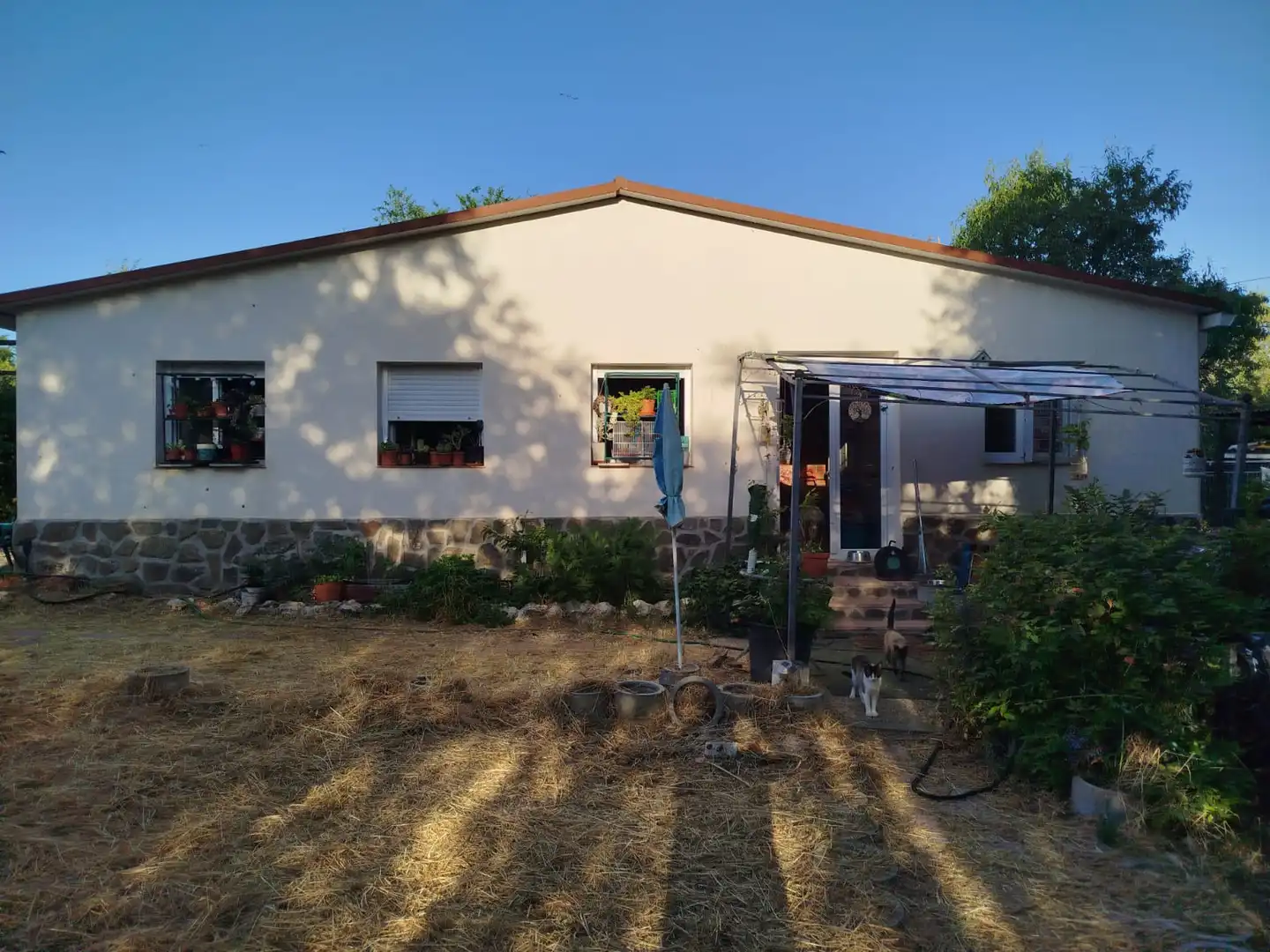 Vista exterior de Casa o xalet en venda en Fuentidueña de Tajo amb Aire condicionat, Calefacció i Jardí privat