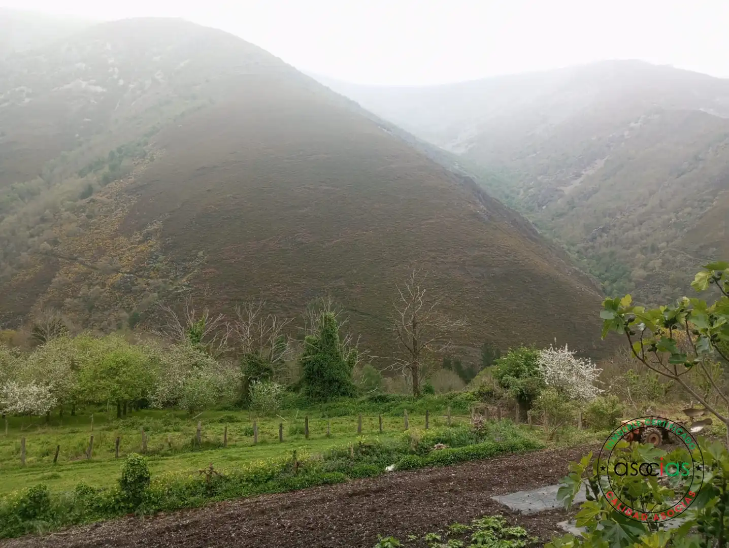 Vista exterior de Casa o chalet en venta en Allande con Calefacción y Trastero