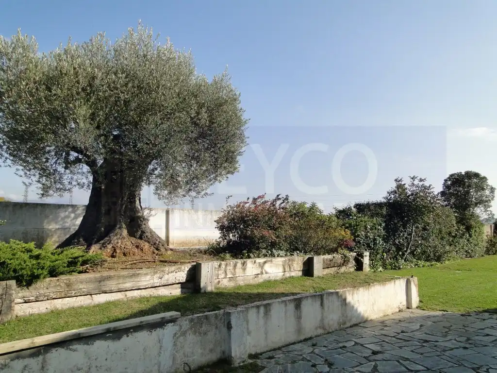 Casa o chalet en venta en Avenida Santo Domingo de la Calzada, Haro