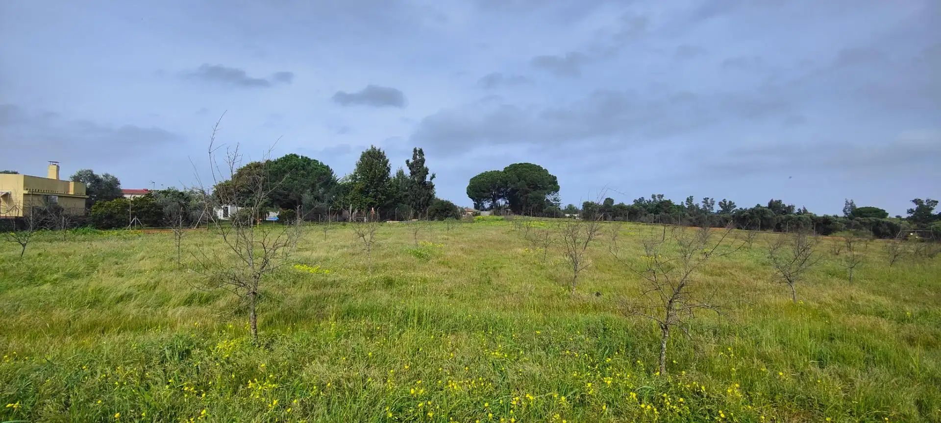 Country homes for sale in Gibraleón