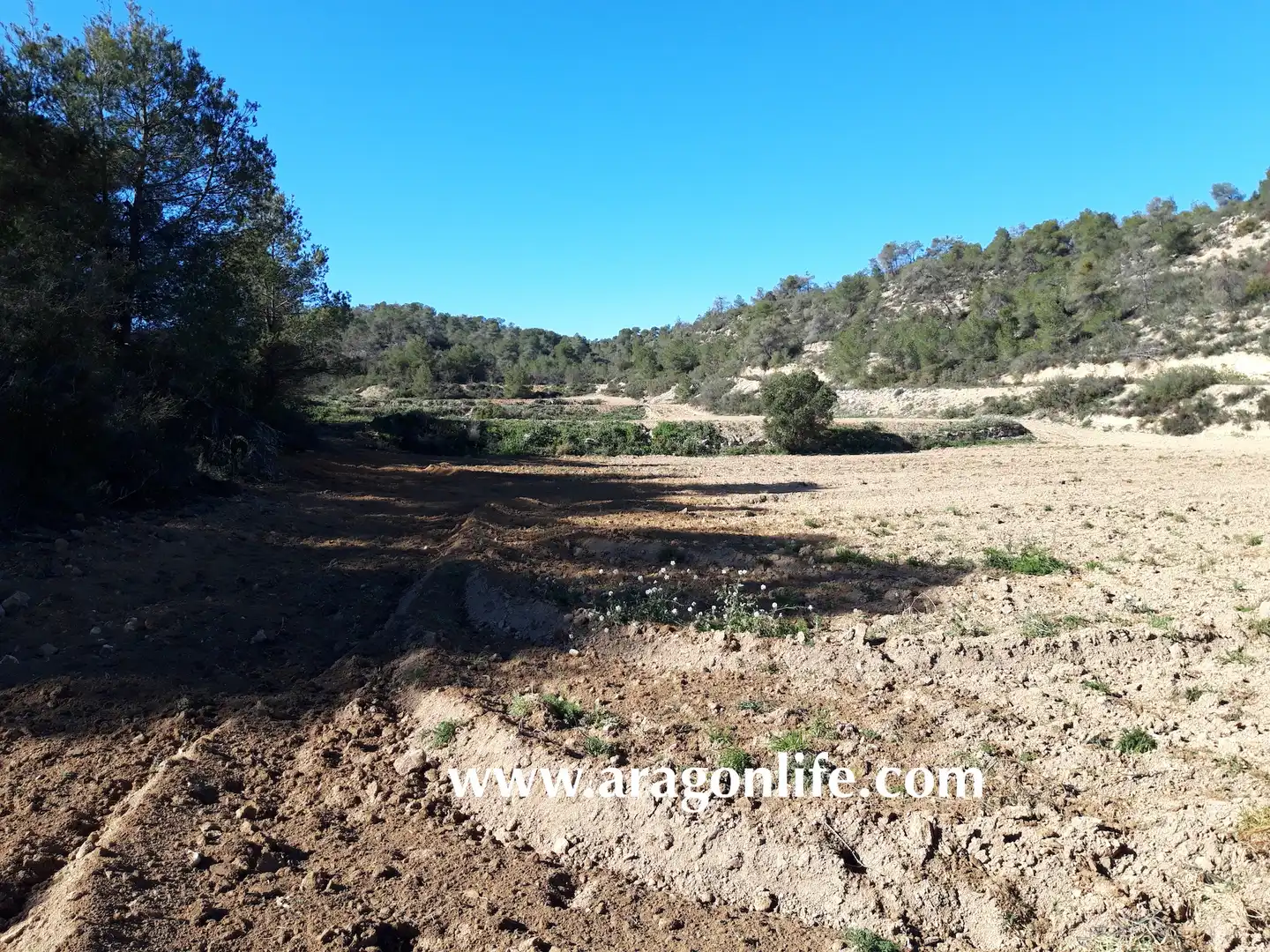 Finca rústica en venta en Nonaspe