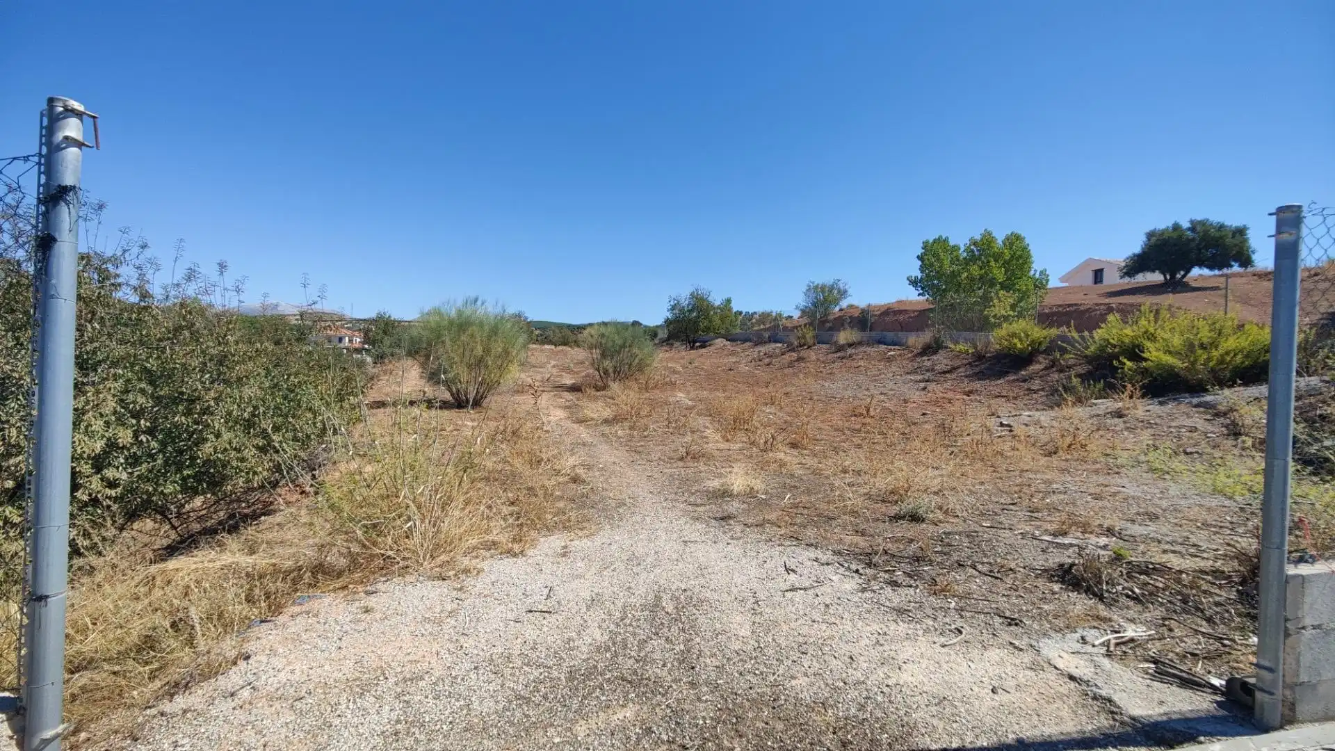 Terrenos y solares en venta en Centro de Albolote, imagen 22