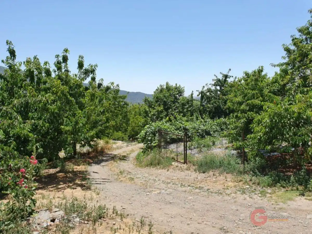 Country homes for sale in Busquístar