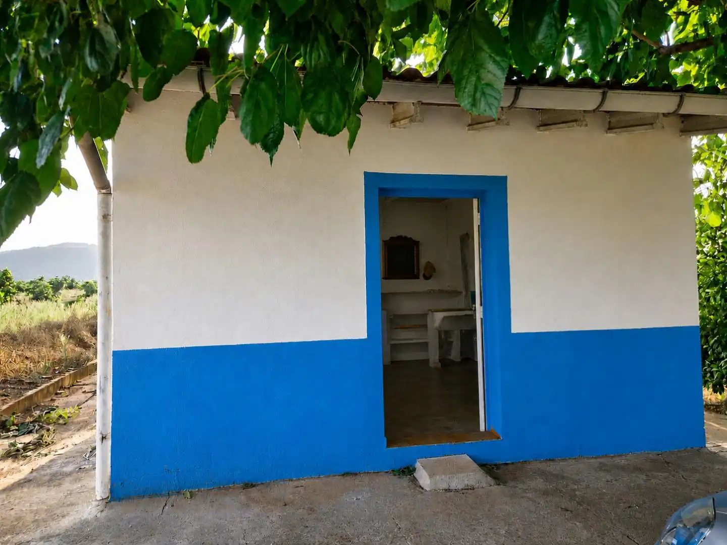 Vista exterior de Finca rústica en venta en Sellent con Jardín privado y Terraza
