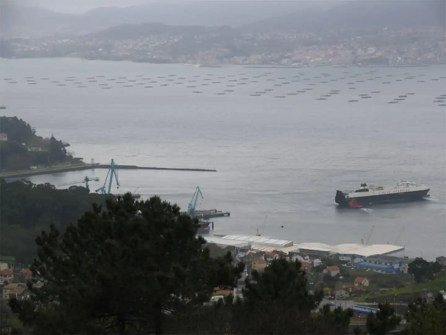 Vista exterior de Pis de lloguer en Vigo 