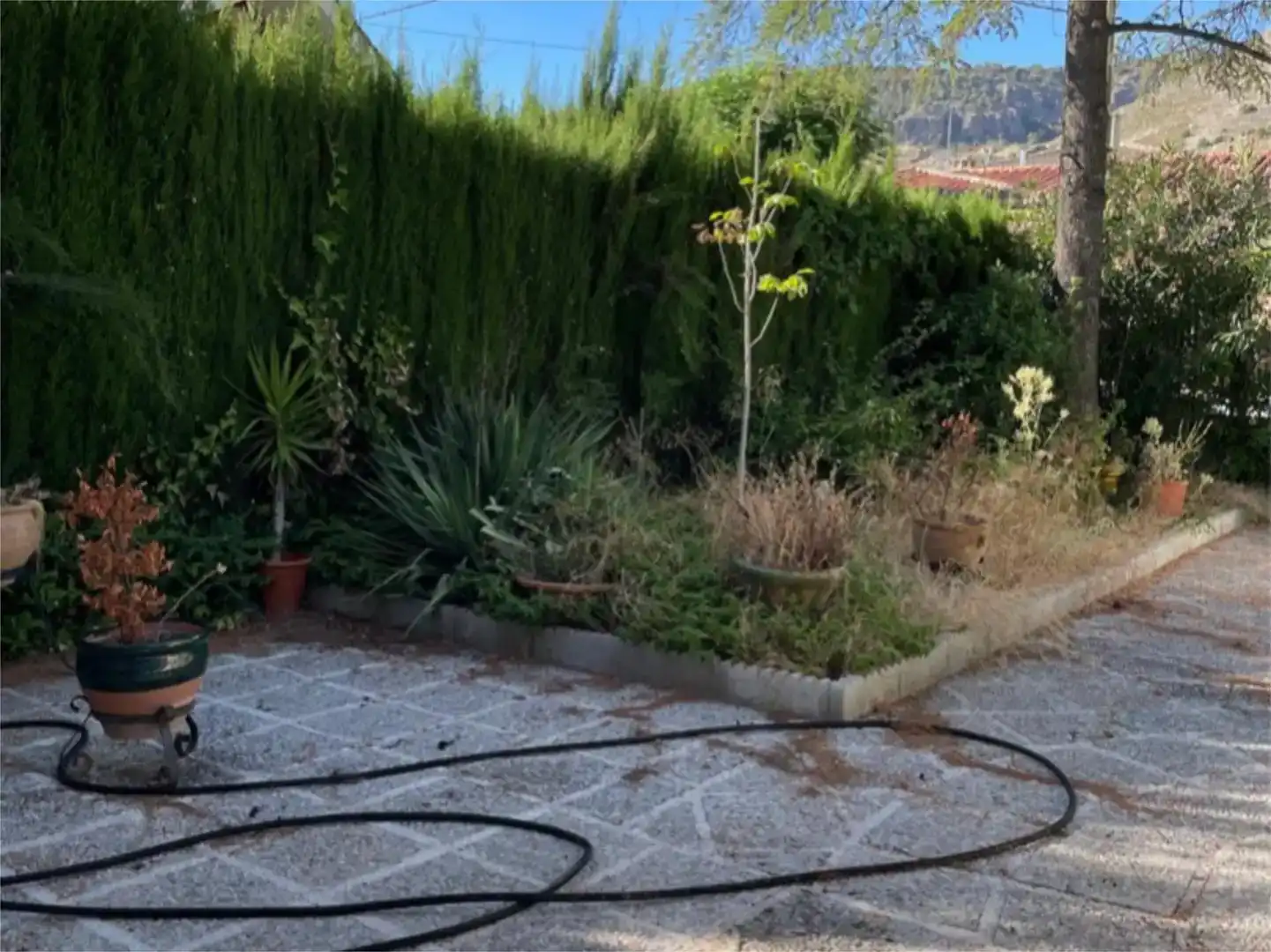 Jardín de Casa o chalet en venta en Alfacar con Piscina