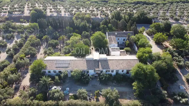 Vista exterior de Finca rústica en venta en Úbeda con Jardín privado, Terraza y Piscina