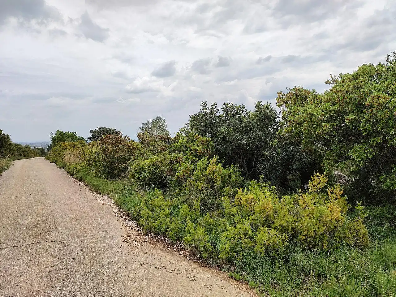 Finca rústica en venta en La Sénia con Terraza