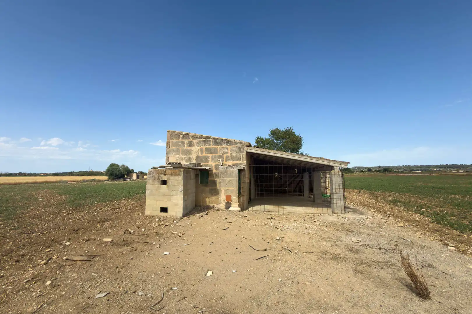Terreny rústic en venda a Petra, imagen 7