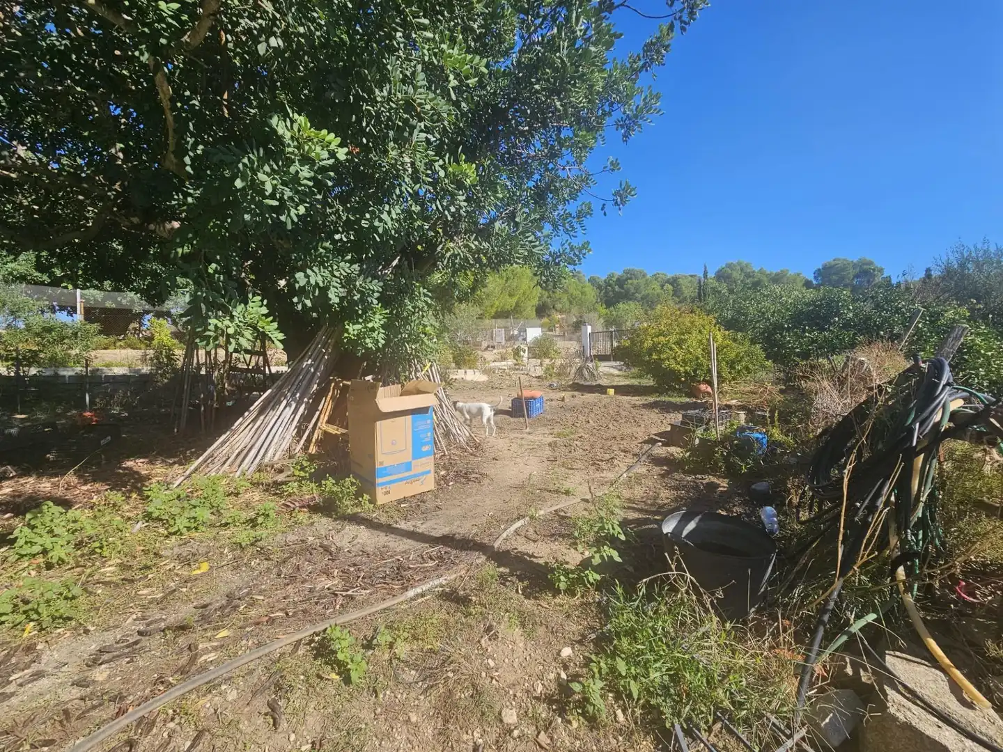 Chalet en venta en Oria, imagen 5