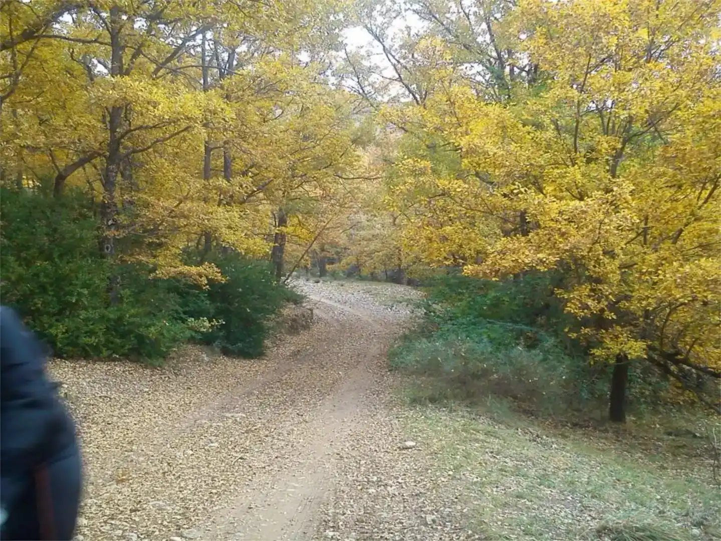 Exterior view of Land for sale in Tolva