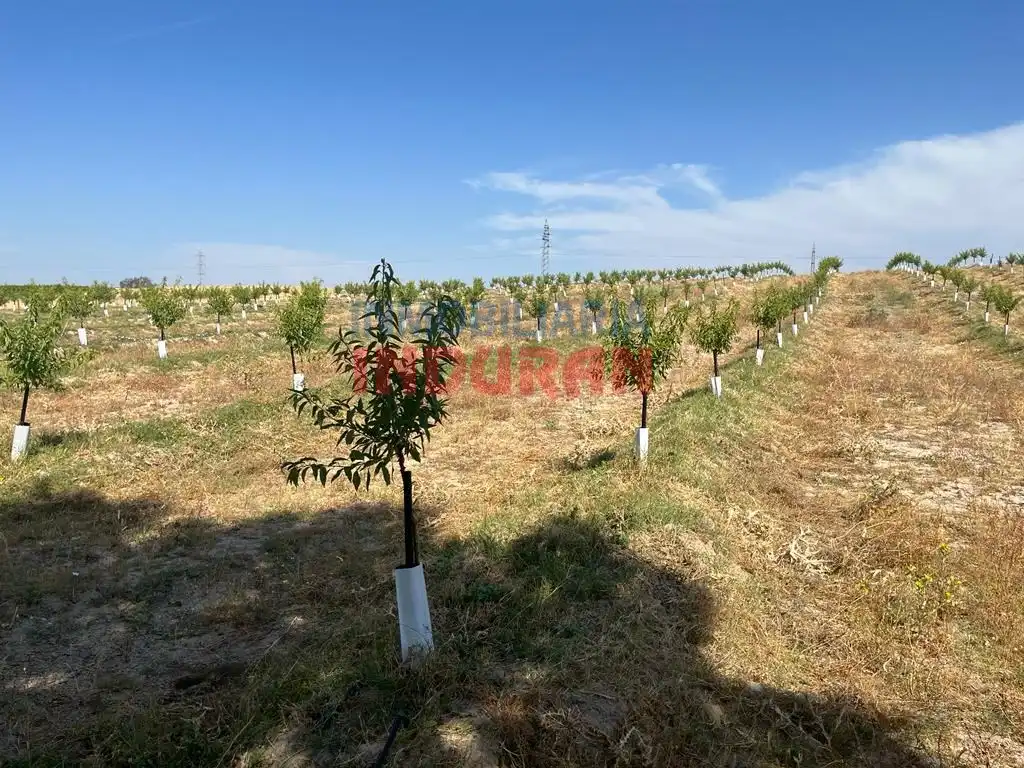 Country house for sale in Galisteo, imagen 7