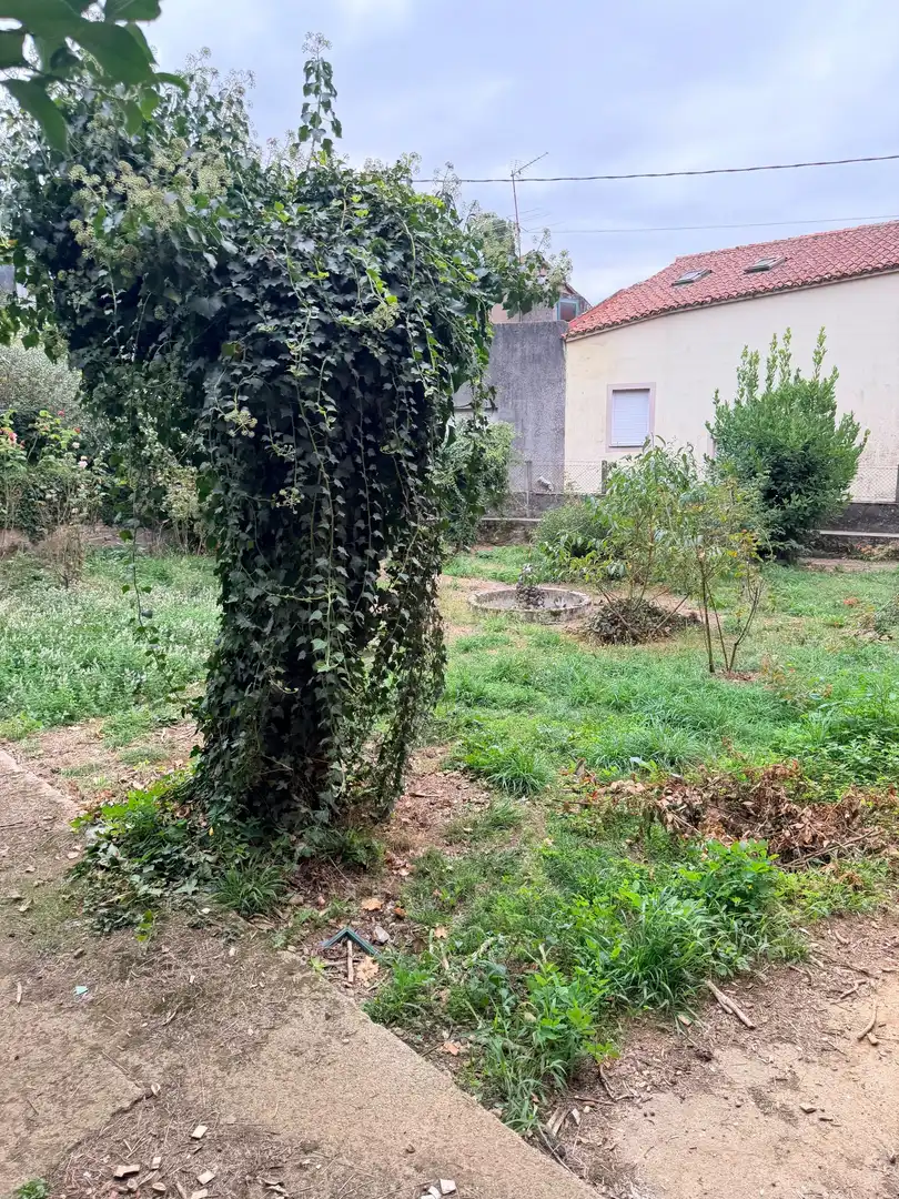 Casa rústica con jardín en venta en Vila de Cruces, imagen 21
