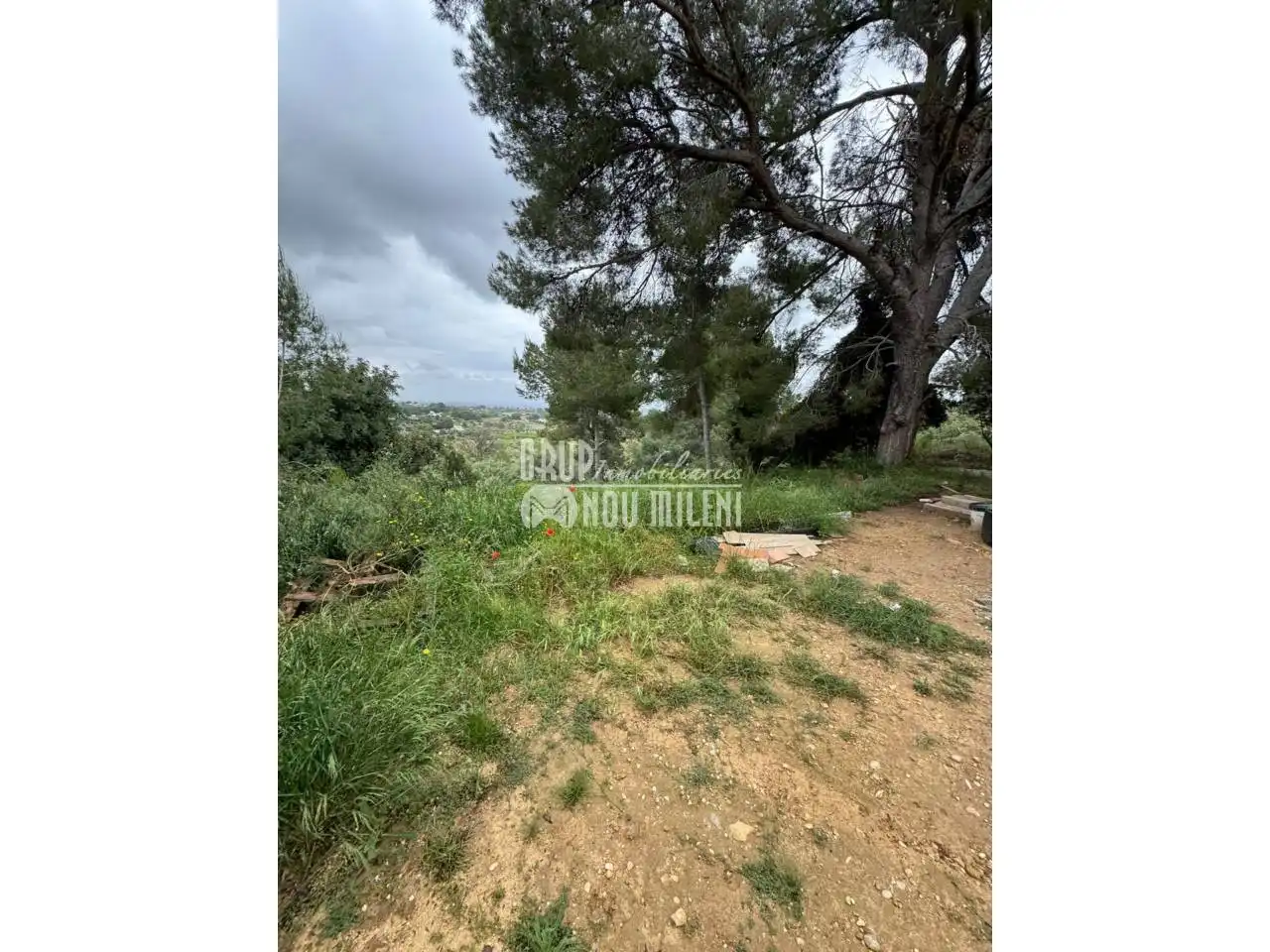 Finca rústica en venda en Montserrat amb Jardí privat