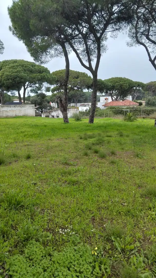 Residential land for sale in Los Franceses – La Vega