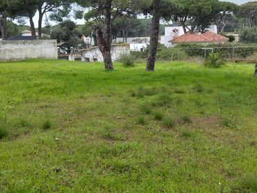 Wohnbaugrundstück zum Verkauf in Los Franceses – La Vega