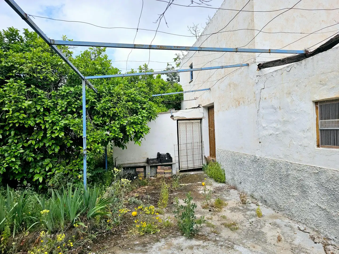 Terreni e lotti in vendita a Centro, imagen 4