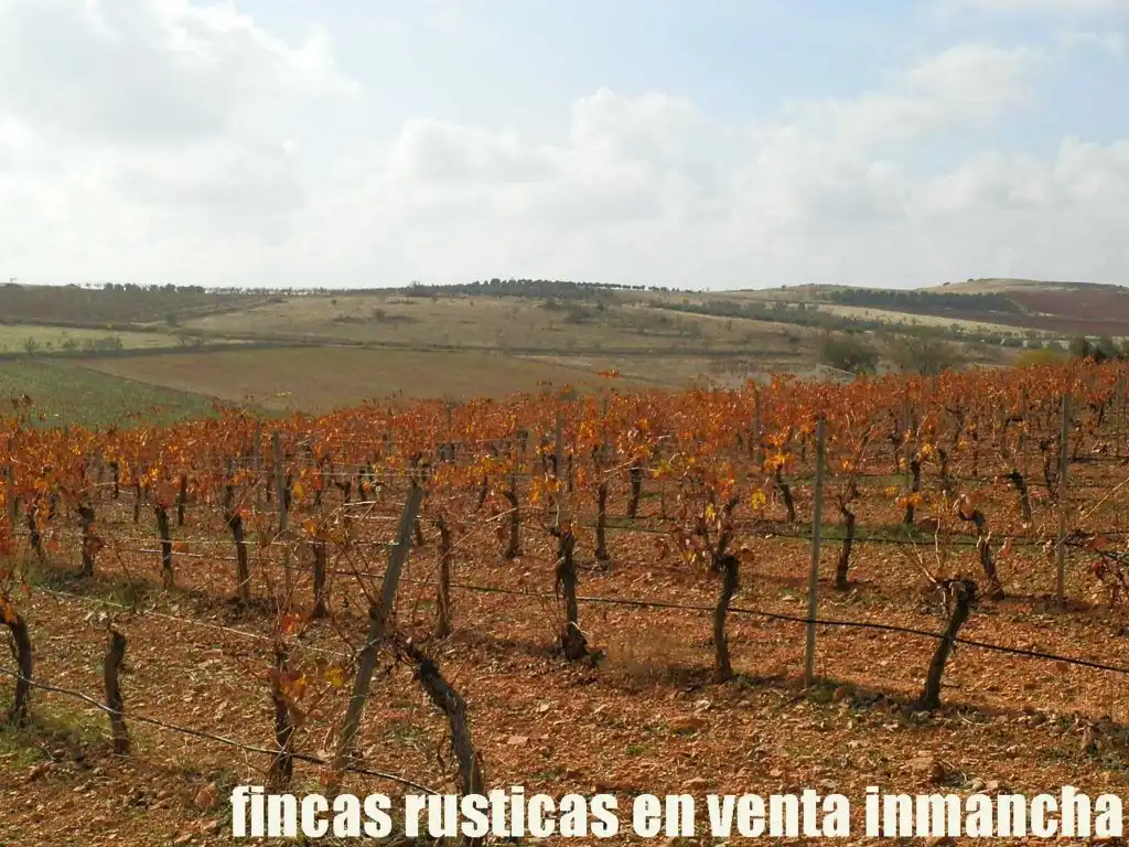 Rural land for sale in Valdepeñas, imagen 7