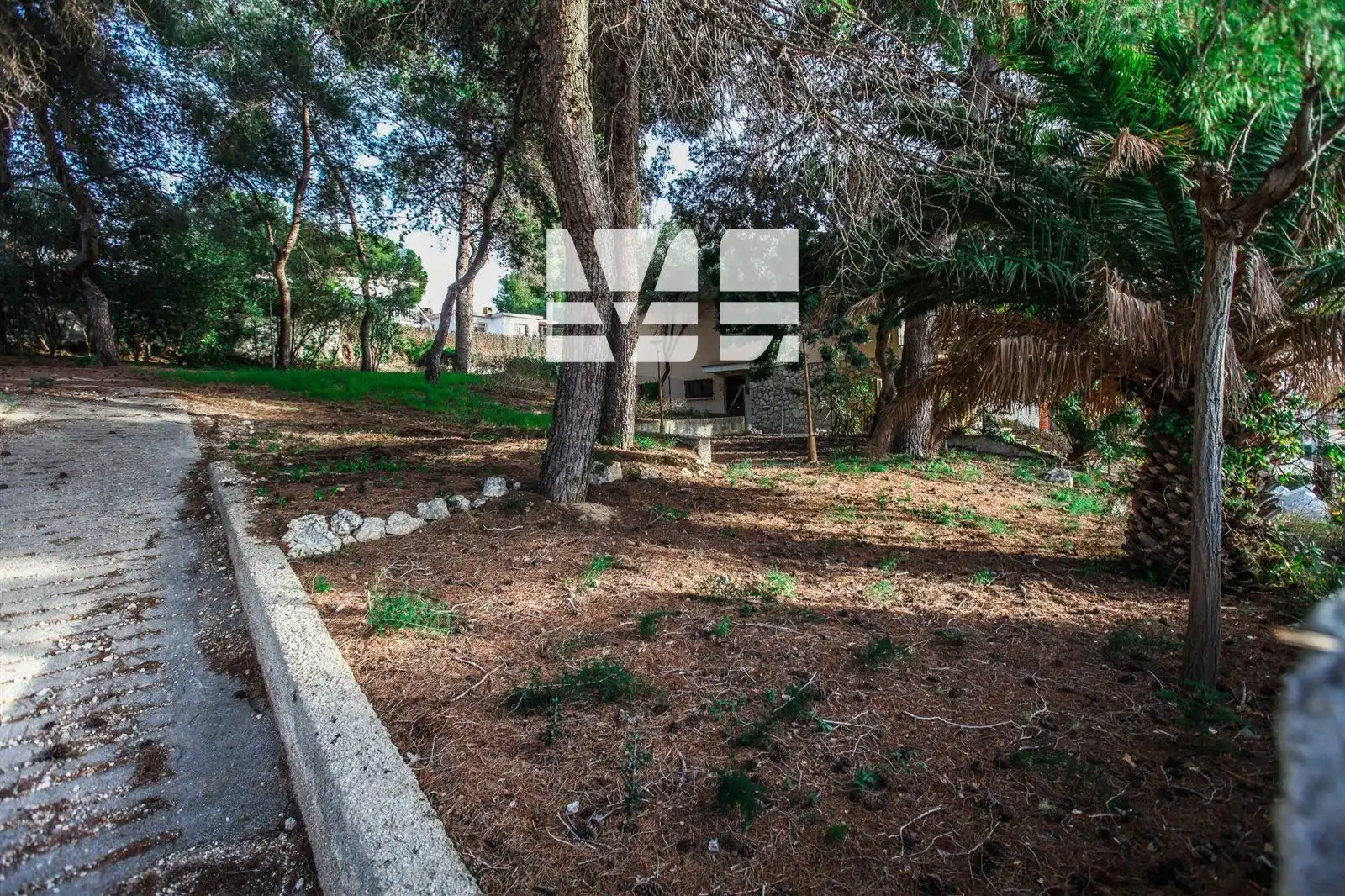 Terreno rústico en venta en Mèxic, imagen 16