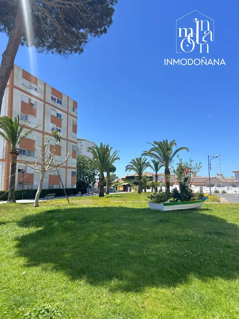 Vista exterior de Piso en venta en Almonte con Aire acondicionado, Terraza y Amueblado