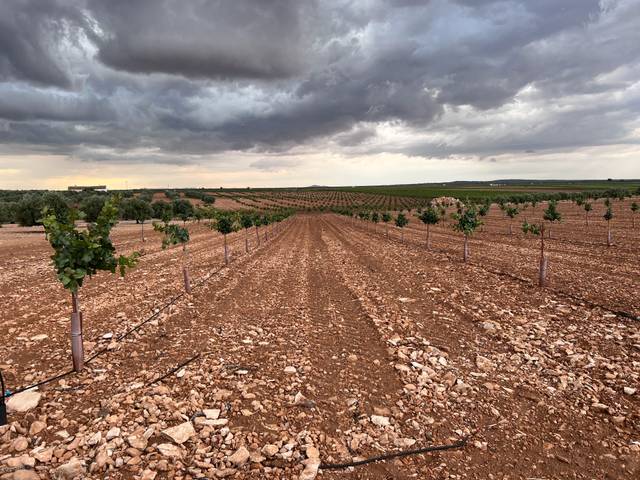 Terreno en Venta en N/A, -1 en Herencia