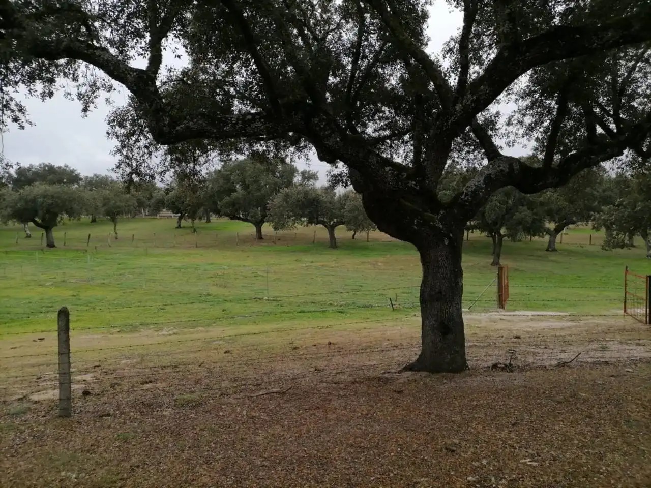 Terreno en venta en Poligono 1, La Alameda de Gardón