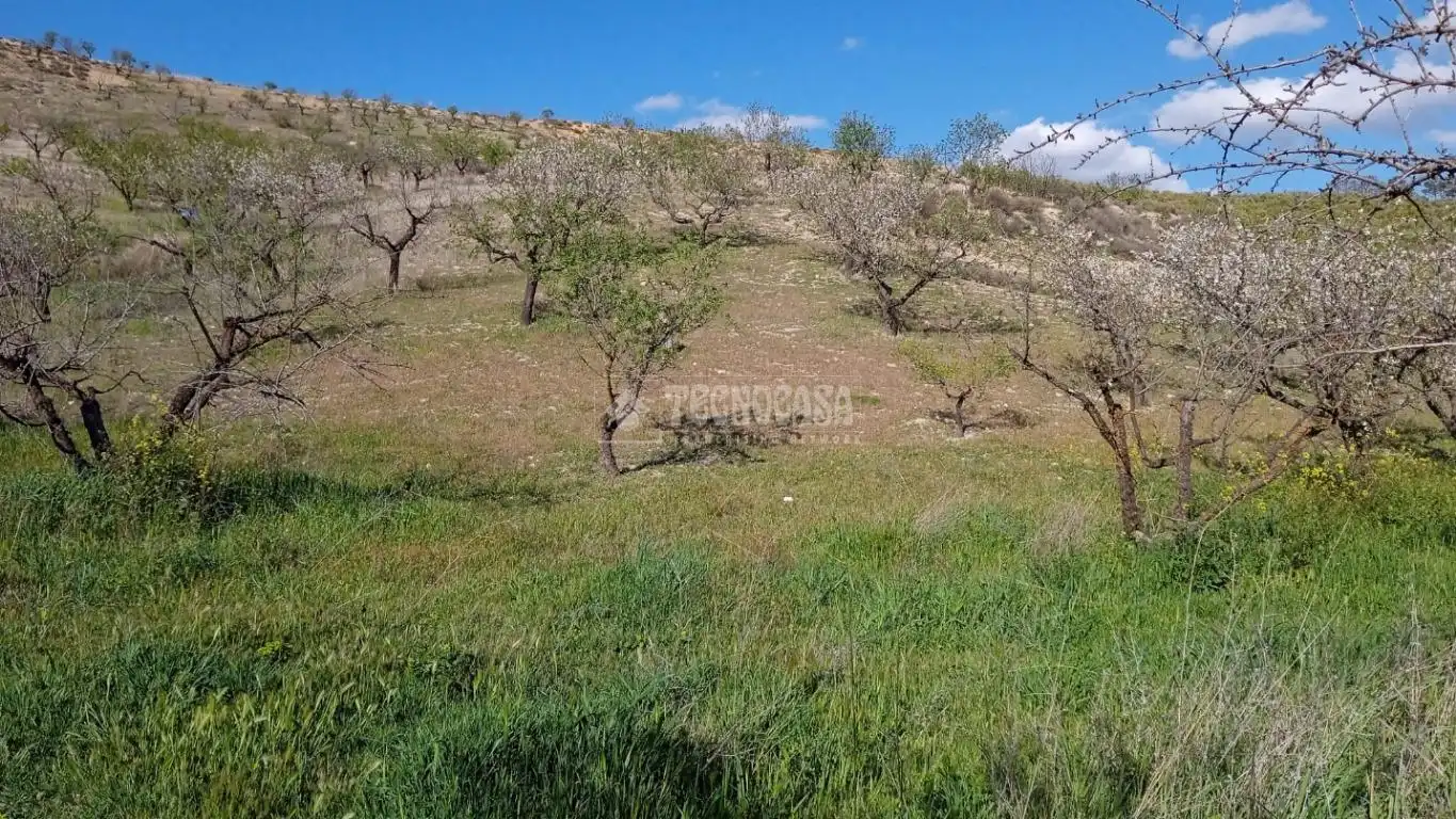 Terreny en venda en Gójar