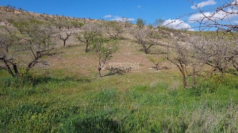Terrenos en venta en Gójar, immagine 3