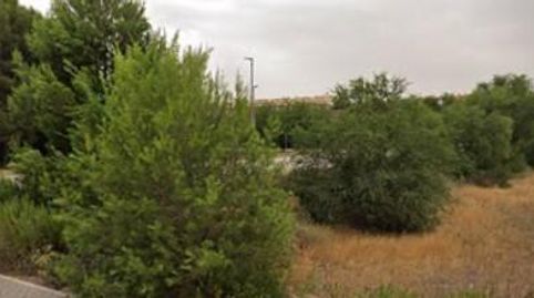 AlmansaTerreno, immagine 2