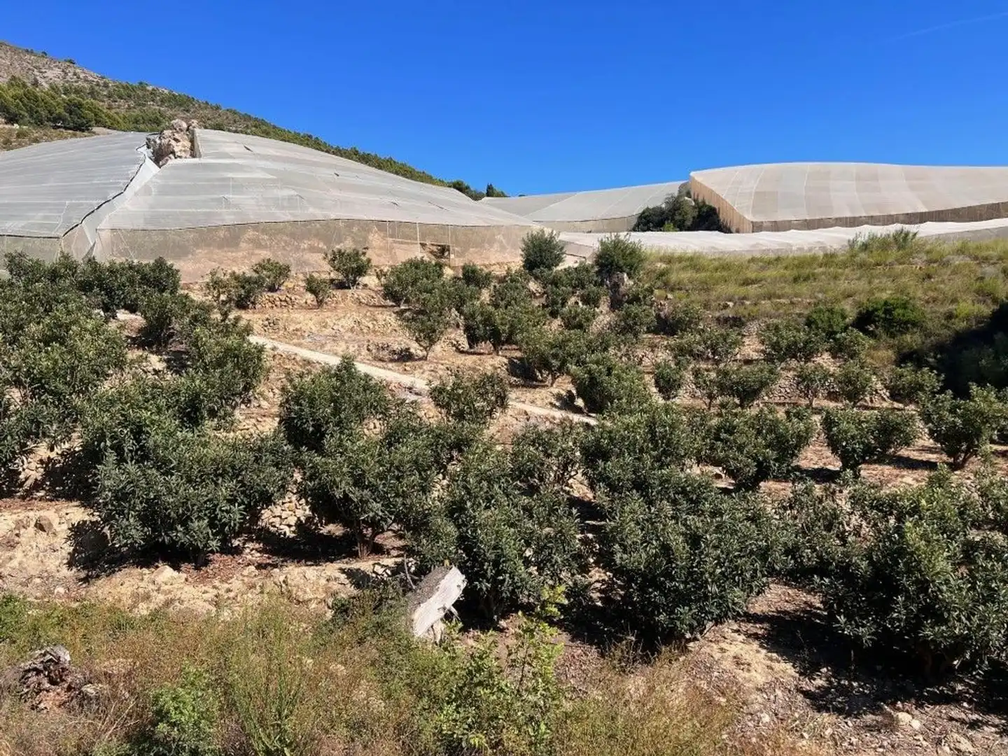 Casa rústica en venda a Partida Algar, imagen 6