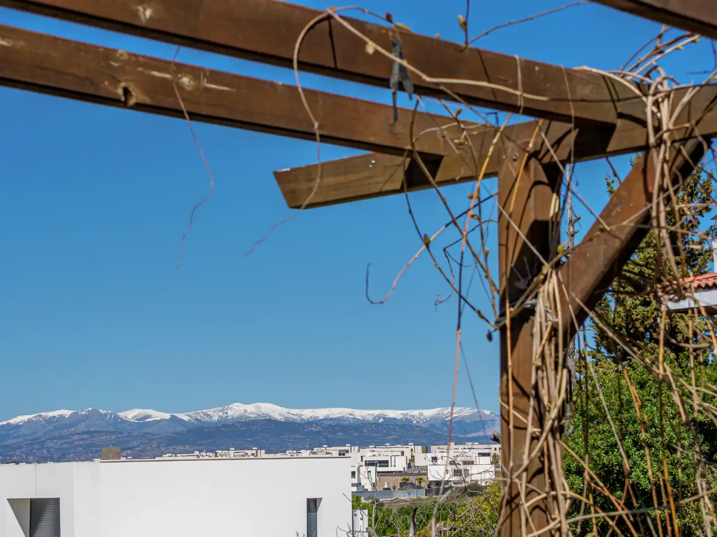 Vista exterior de Casa o chalet en venta en Boadilla del Monte con Calefacción, Jardín privado y Terraza