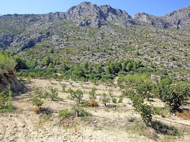 Terreny residencial en venda a Beniarbeig