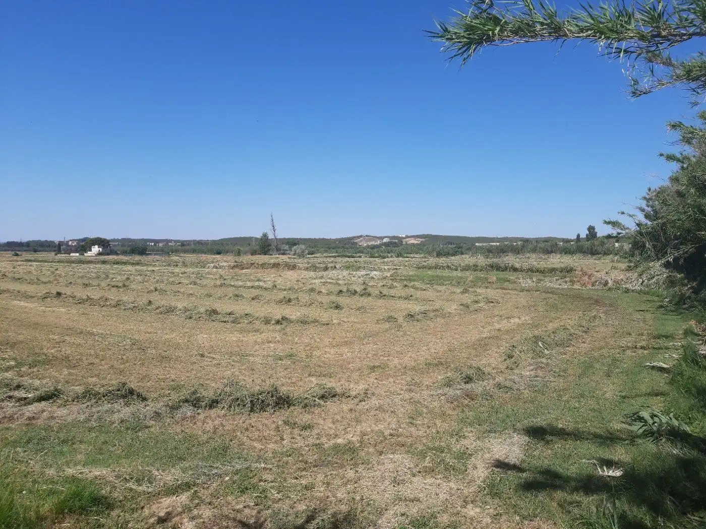 Grundstücke zum Verkauf in Zaragoza
