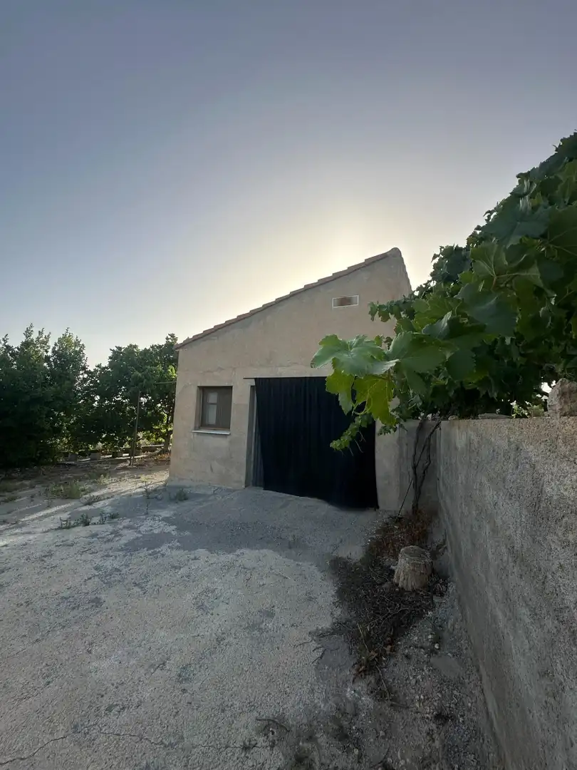 Vista exterior de Finca rústica en venta en Somontín