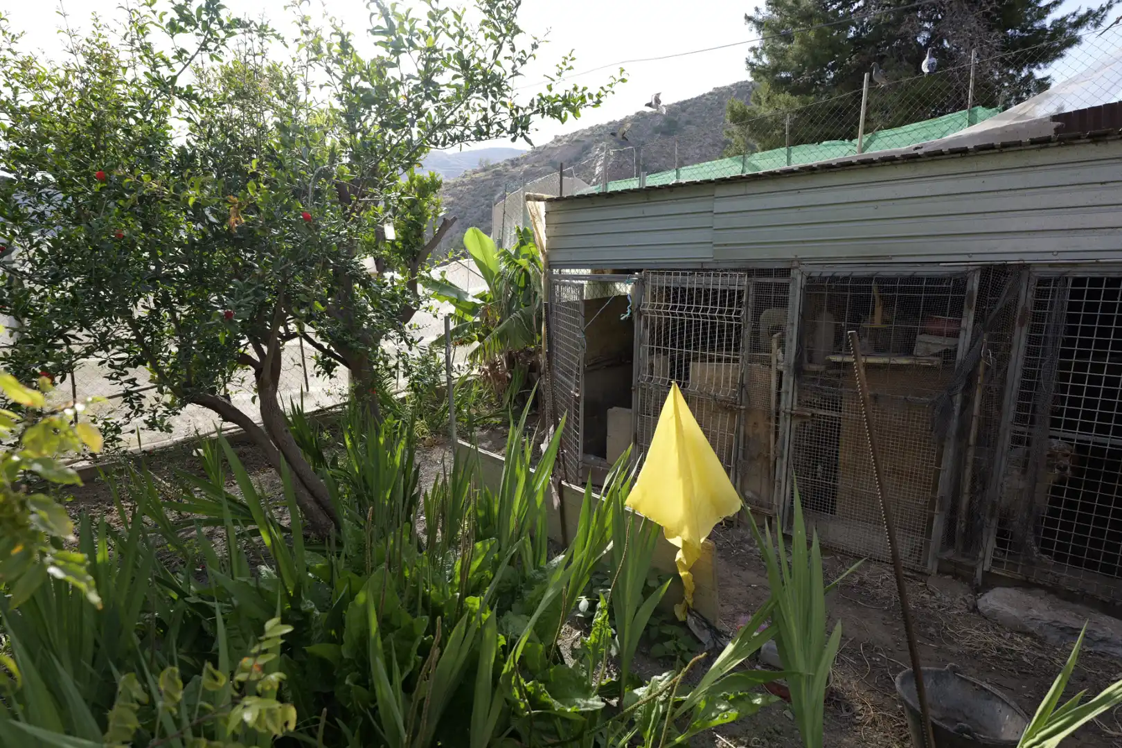 Exterior view of Houses for sale in Adra  with Private garden, Terrace and Furnished