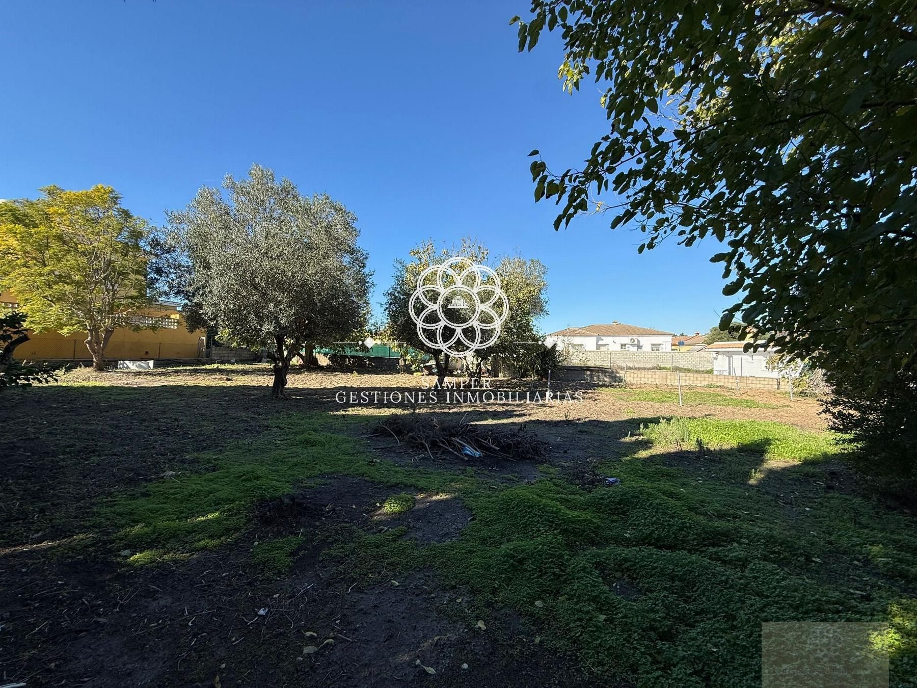 Finca rústica en venda en El Puerto de Santa María