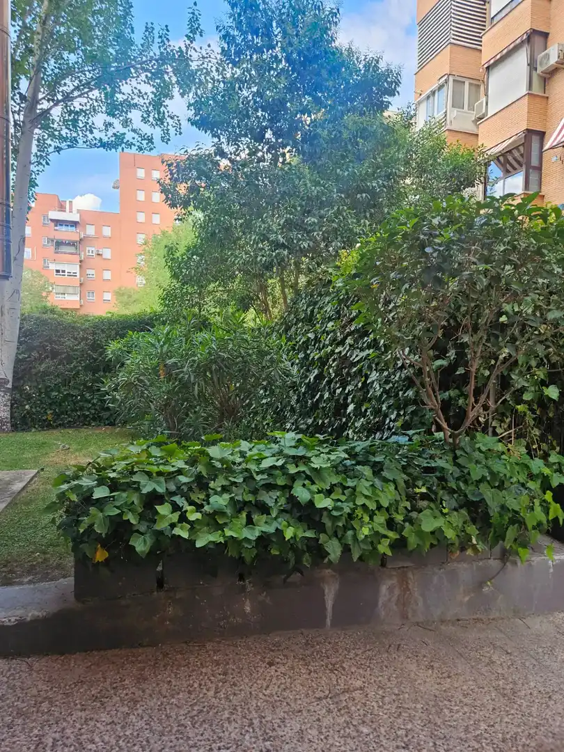 Jardí de Pis de lloguer en Madrid amb Aire condicionat, Calefacció i Terrassa